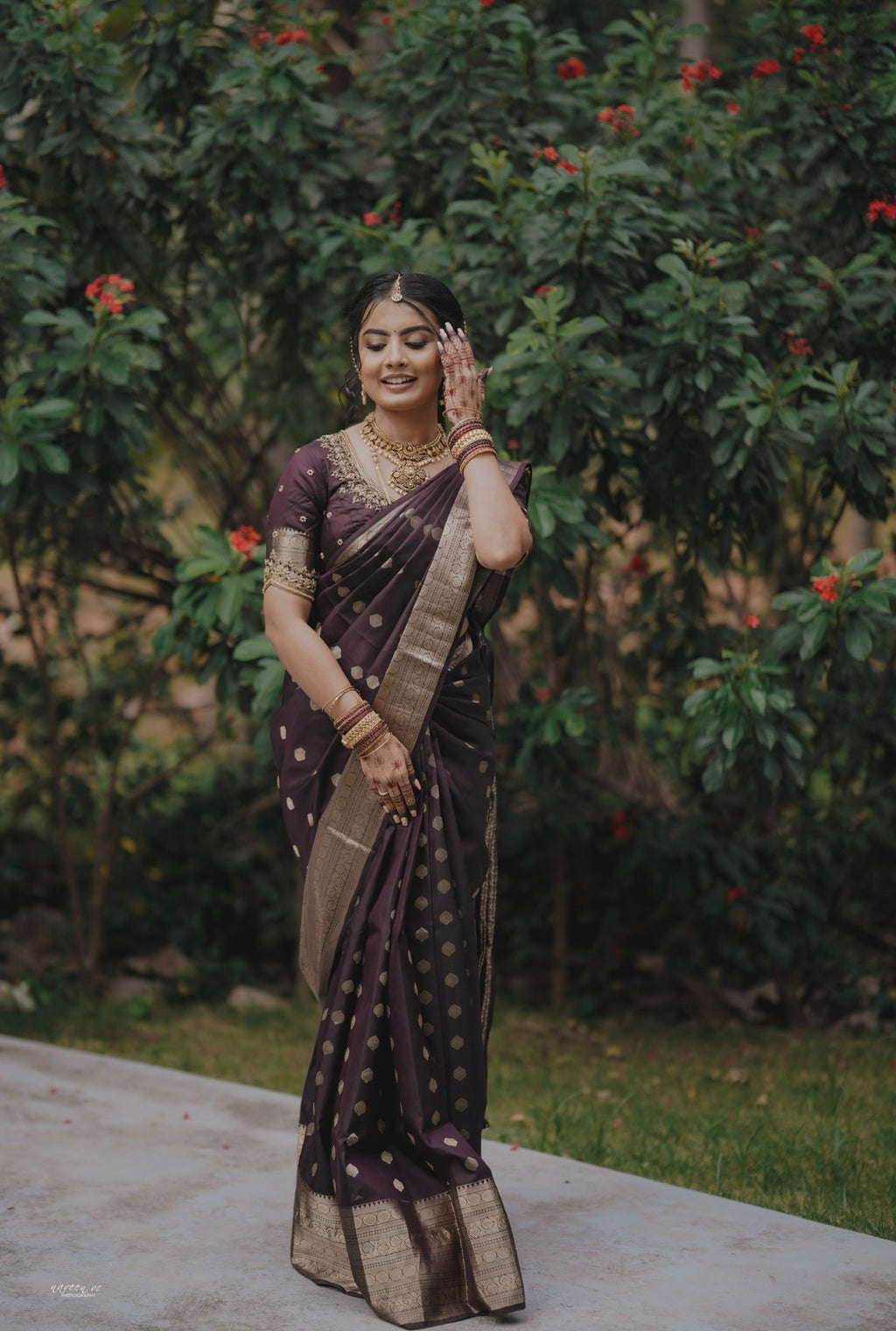 Tissue Silk Saree (Brown with Gold Jari Border) (CODE-058)