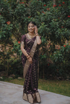 Tissue Silk Saree (Brown with Gold Jari Border) (CODE-058)