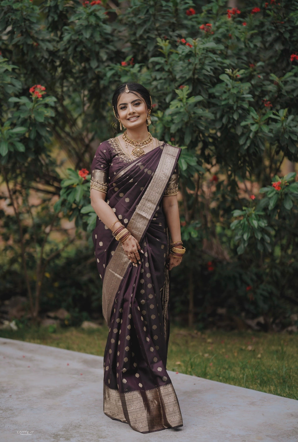 Tissue Silk Saree (Brown with Gold Jari Border) (CODE-058)