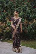 Tissue Silk Saree (Brown with Gold Jari Border) (CODE-058)