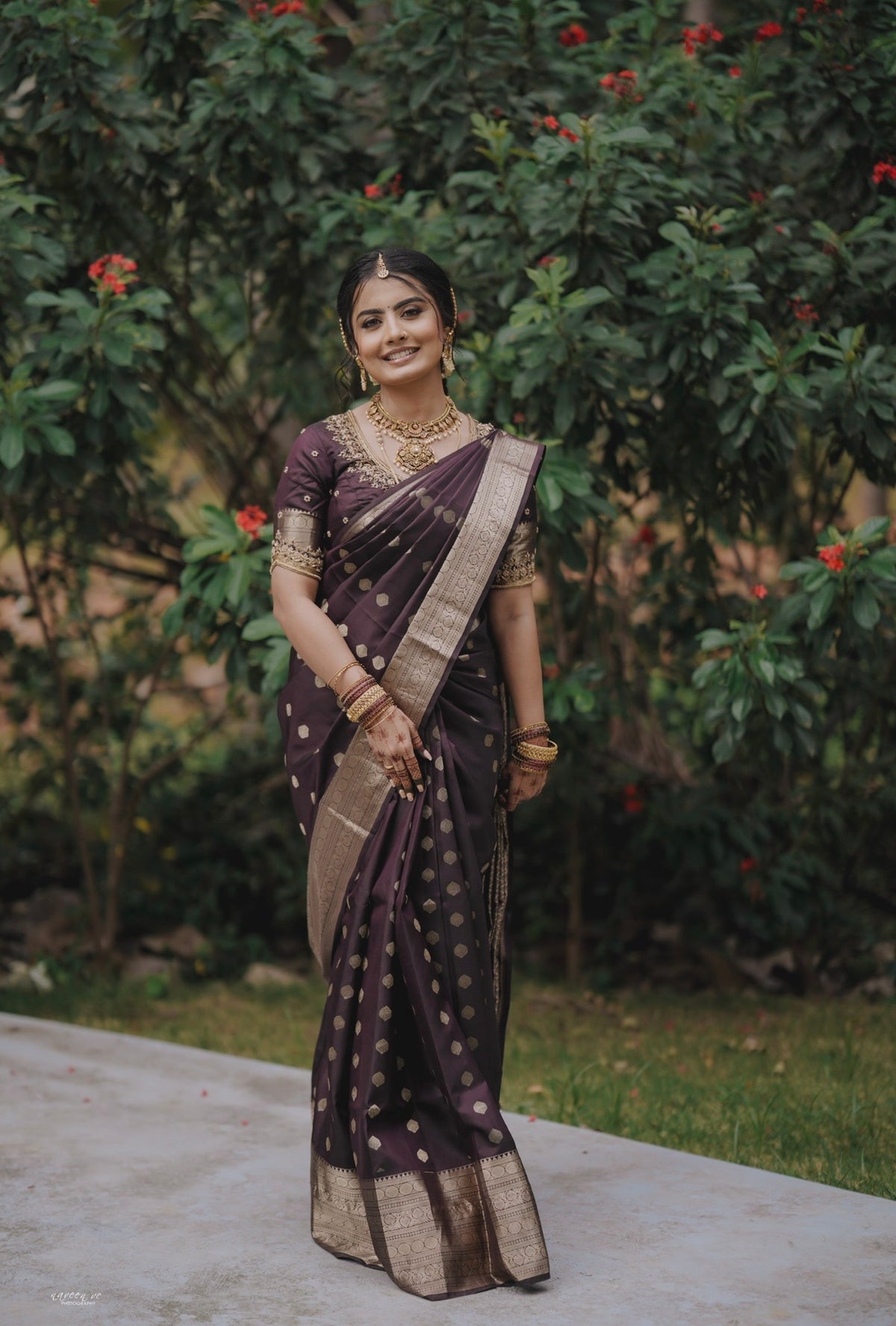 Tissue Silk Saree (Brown with Gold Jari Border) (CODE-058)