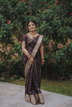 Tissue Silk Saree (Brown with Gold Jari Border) (CODE-058)